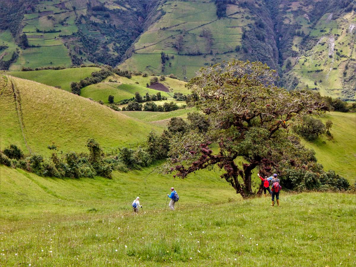 Hiking fields hills hiking trekking altar volcano Peru