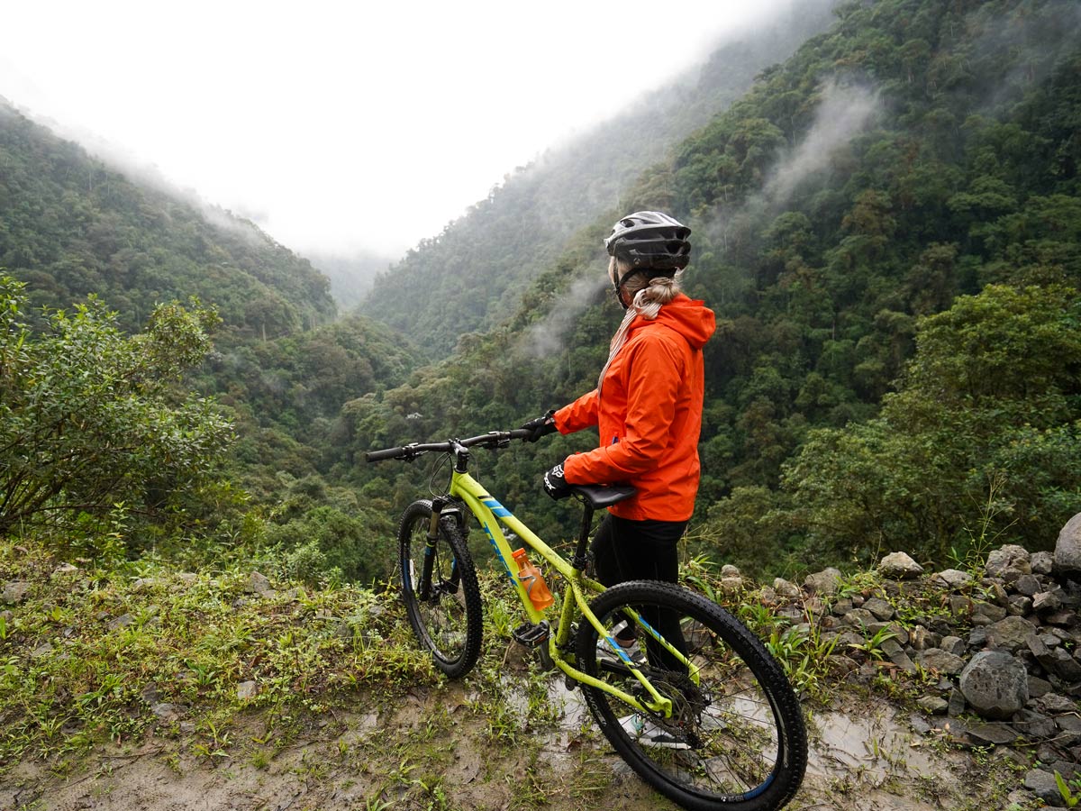 Beautiful rainforest mountain biking