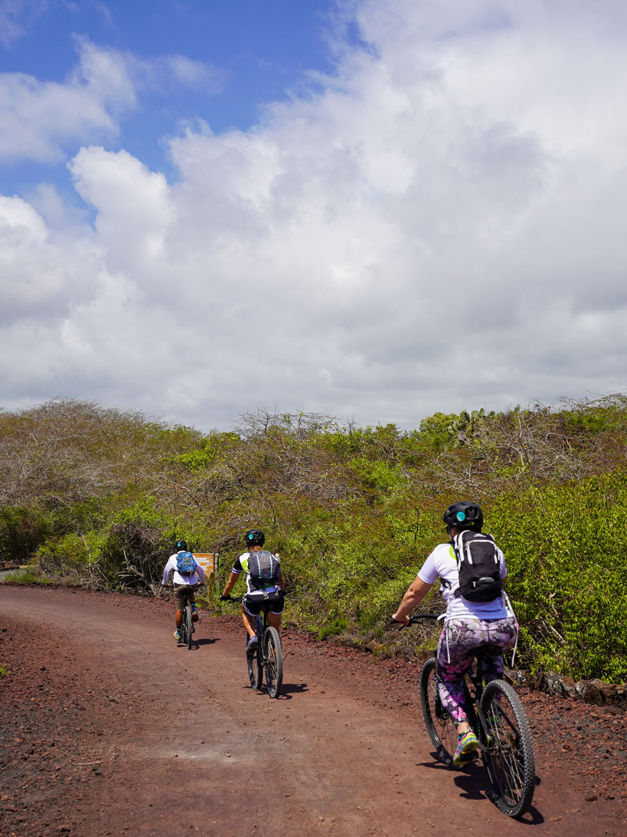 Biking near coast