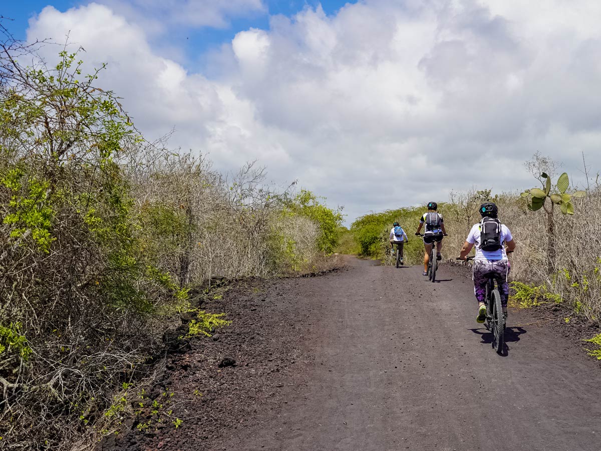 Family group biking