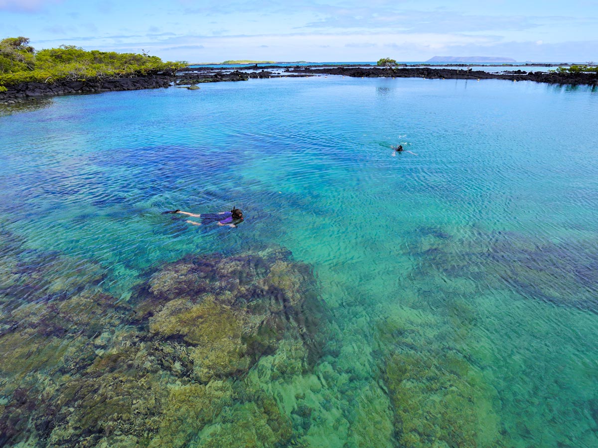 Clear water snorkelling in the bay