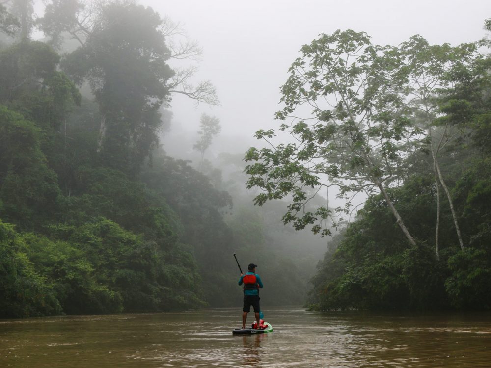 Yasuni National Park Paddling Tour, Ecuador 10Adventures