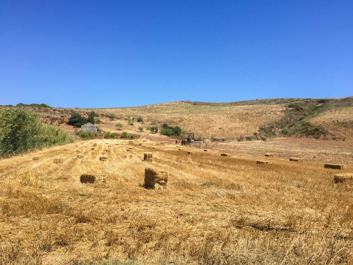 Portugal cycling tour rural farmland rolling hills