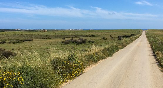 Best of the Algarve Cycling Tour