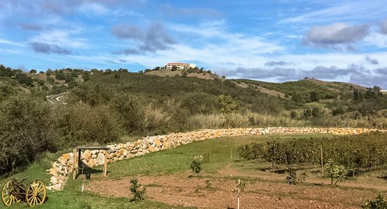 Algarve Road Cycling Tour