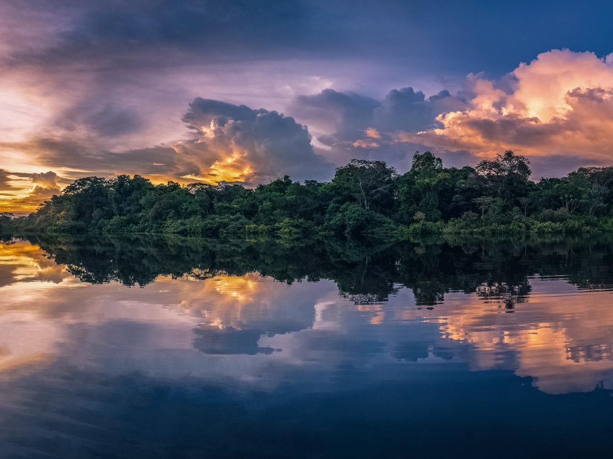Sunset over Amazon rainforest and jungle birding expedition Peru