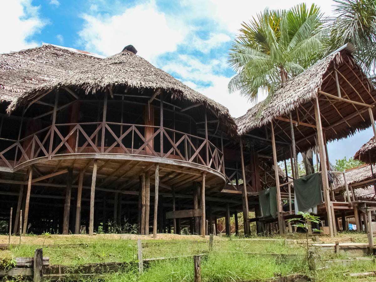 Amazon treehouse in the rainforest birding expedition Peru