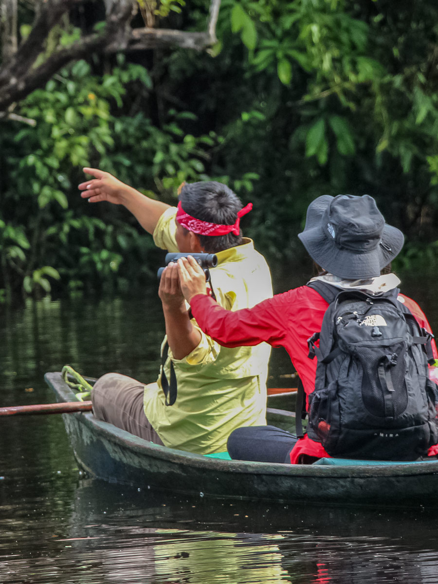 Bird spotting from the river Amazon birding expedition Peru