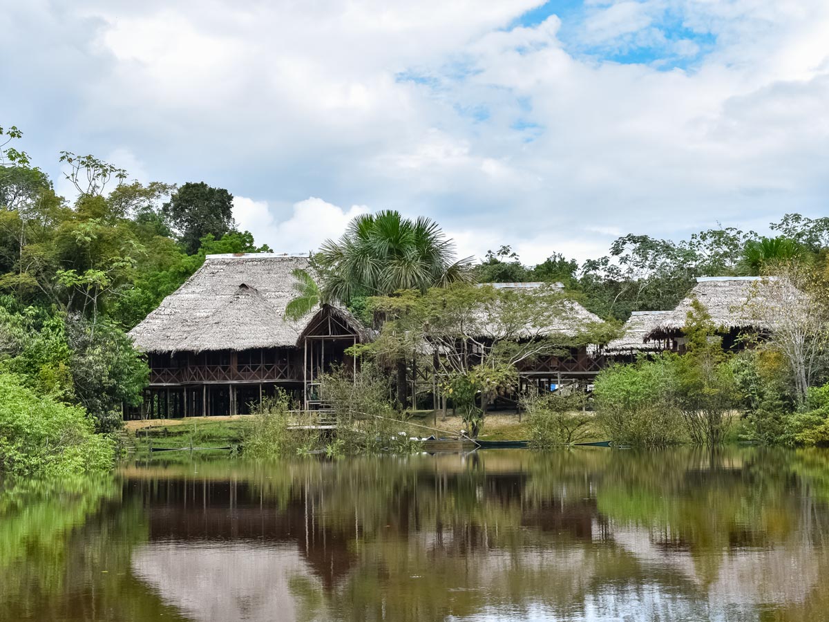 Treehouse style accomodation birding expedition Peru