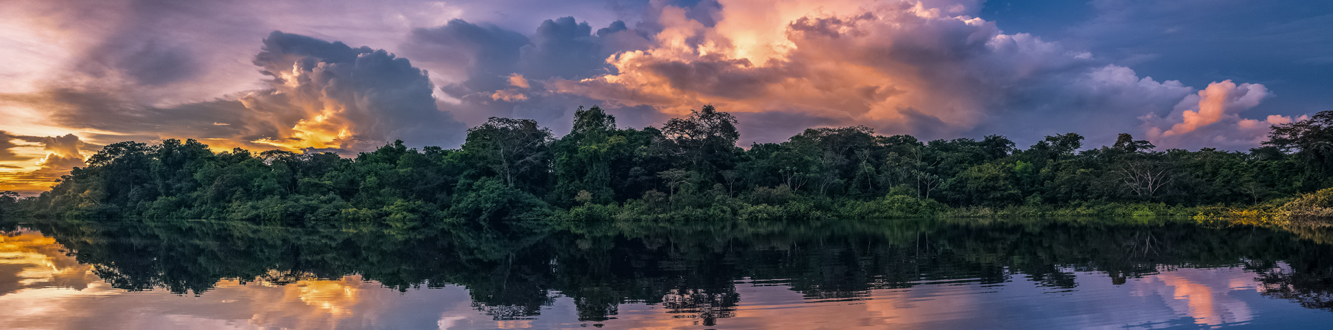 Amazon Birdwatching Expedition