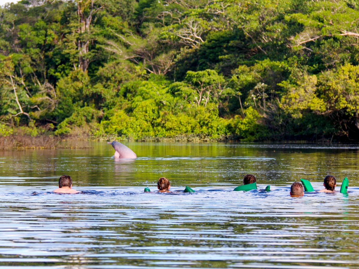 Swimming with dolphins Amazon camping expedition Peru