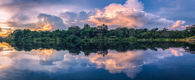 Amazon Camping Adventure