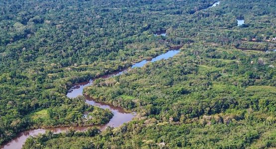 Fishing in the Peruvian Amazon Tour