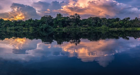 Fishing in the Peruvian Amazon Tour