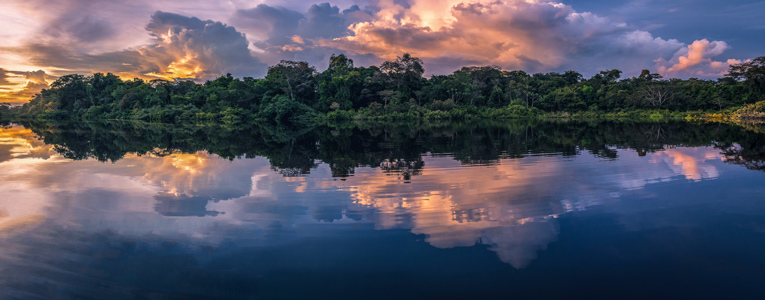 Fishing in the Peruvian Amazon Tour
