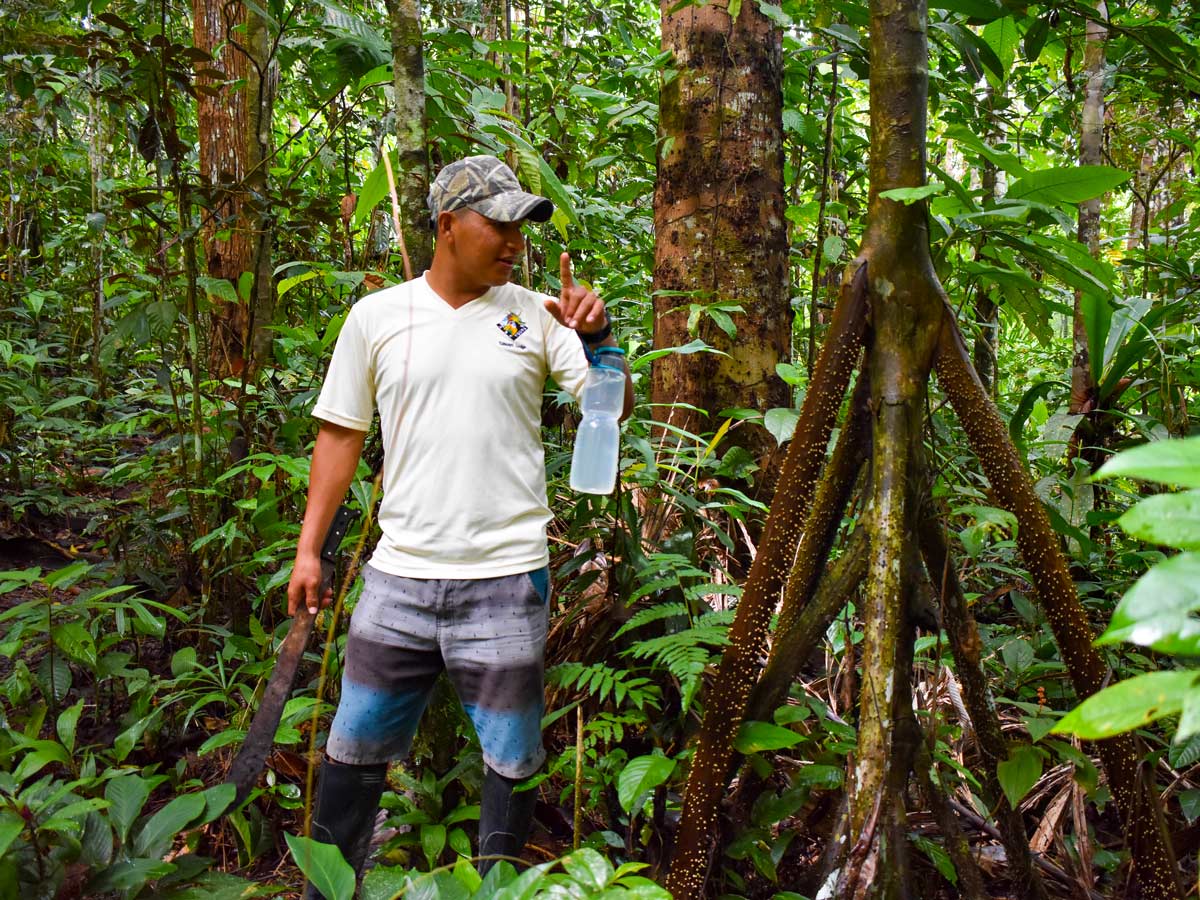 Amazon general tour jungle rainforest education Peru