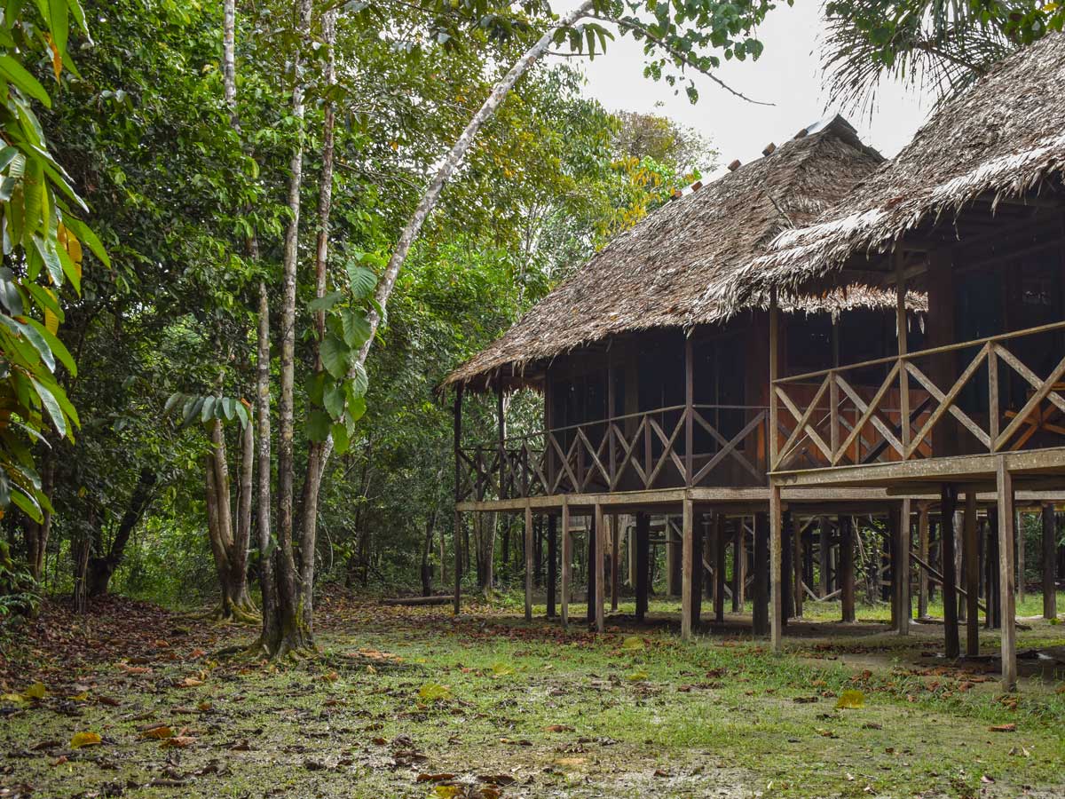 Amazon general tour rainforest cabin camping Peru