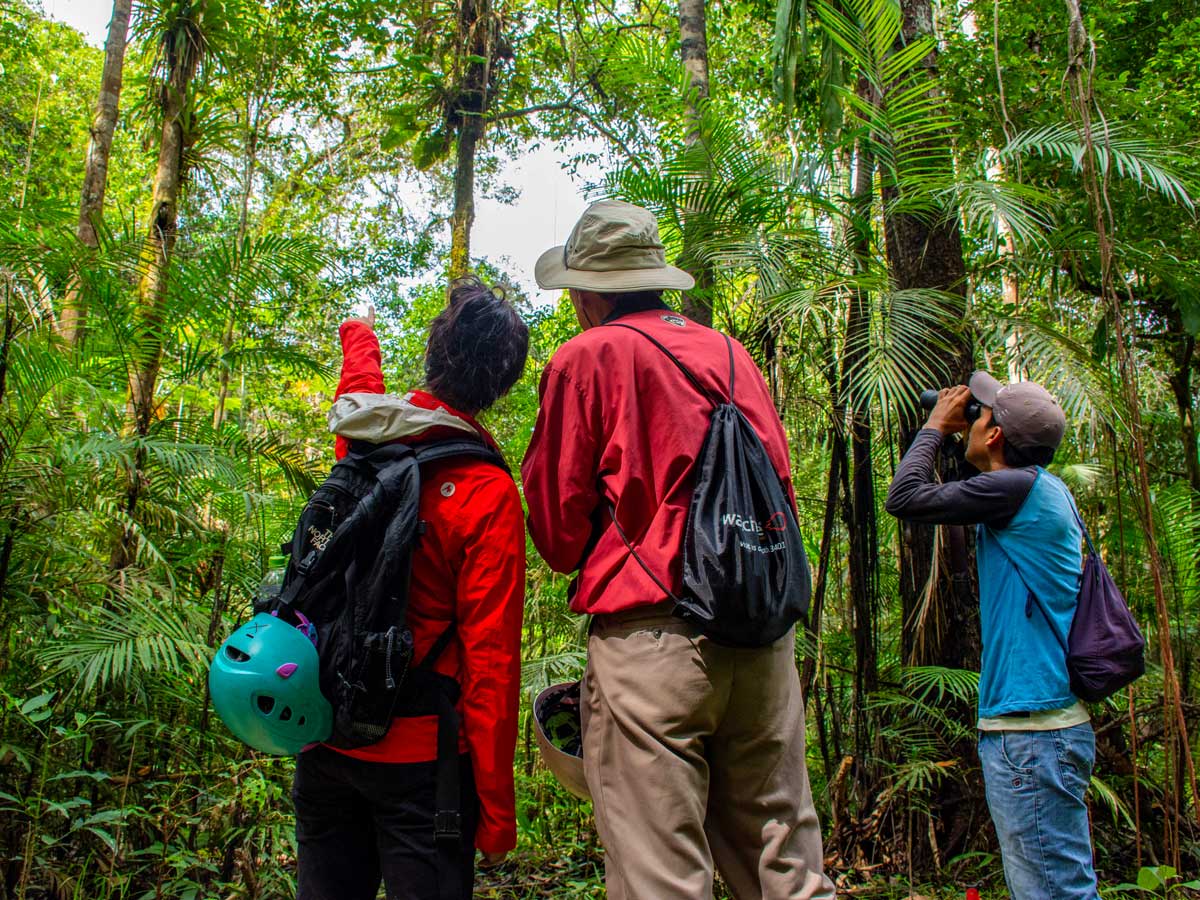 Amazon general tour rainforest wildlife spotting Peru