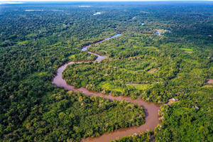 Amazon Rainforest Adventure