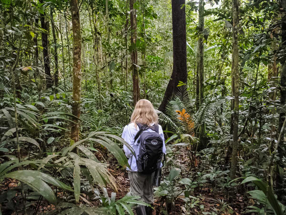 Trekking into the Rainforest Amazonia research Peru