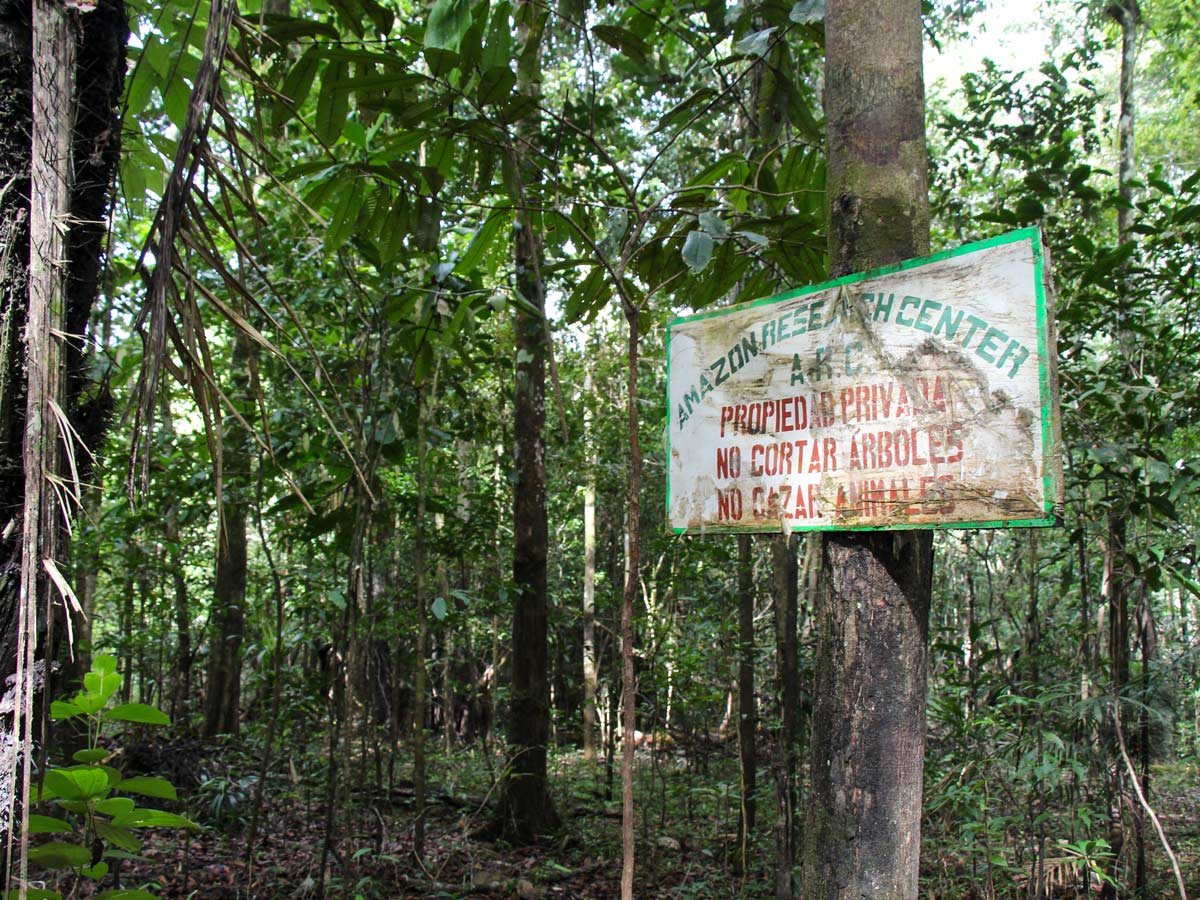 Amazon Research Center protected ecological zone research Peru