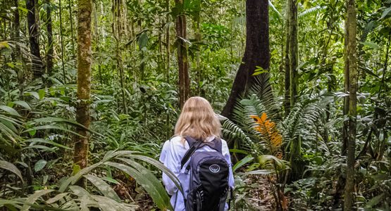 Amazonia Wildlife Adventure