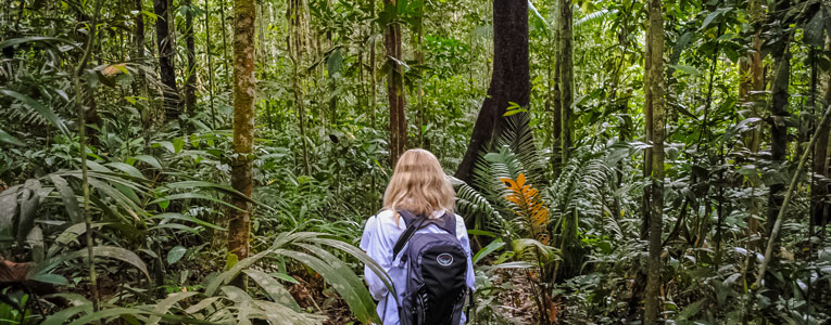 Amazonia Wildlife Adventure