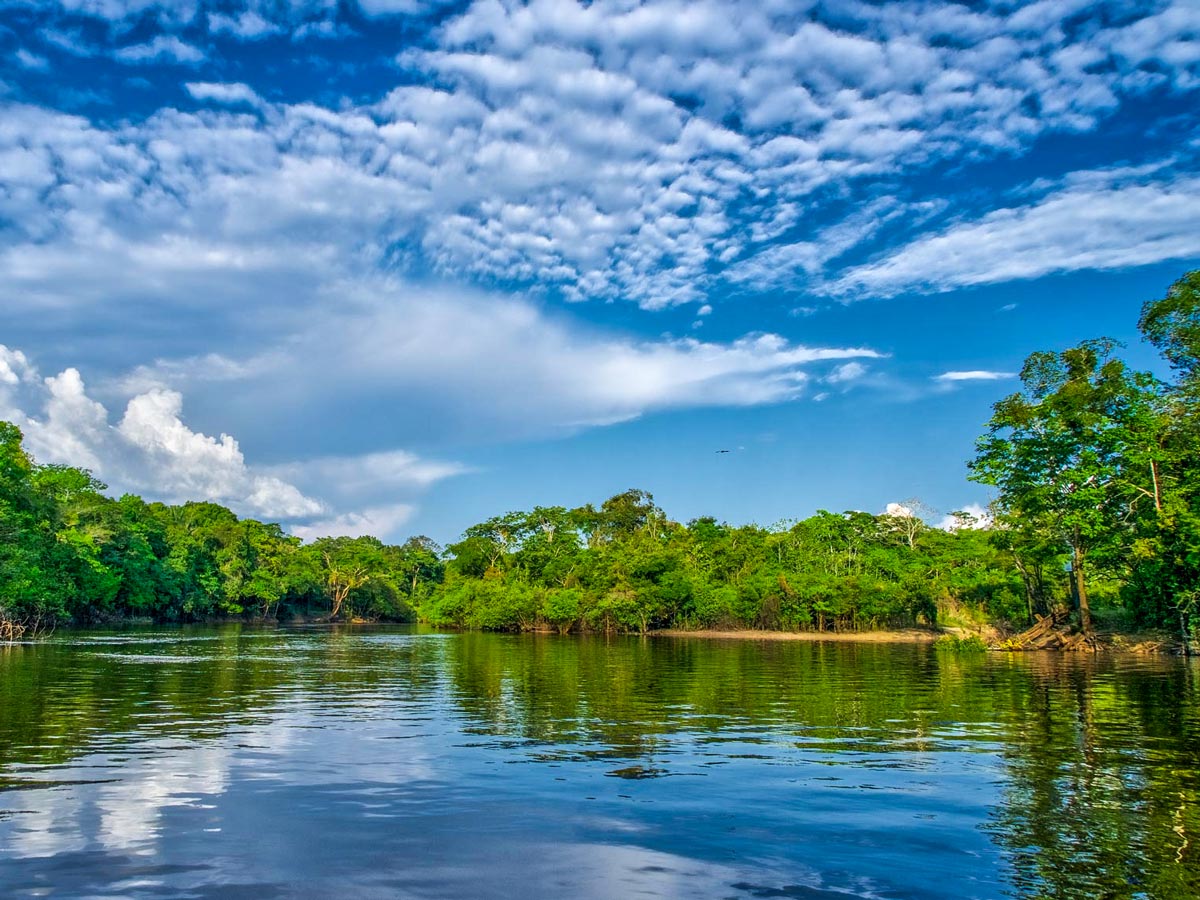 Peruvian Amazonia survival training expedition in the amazon jungle