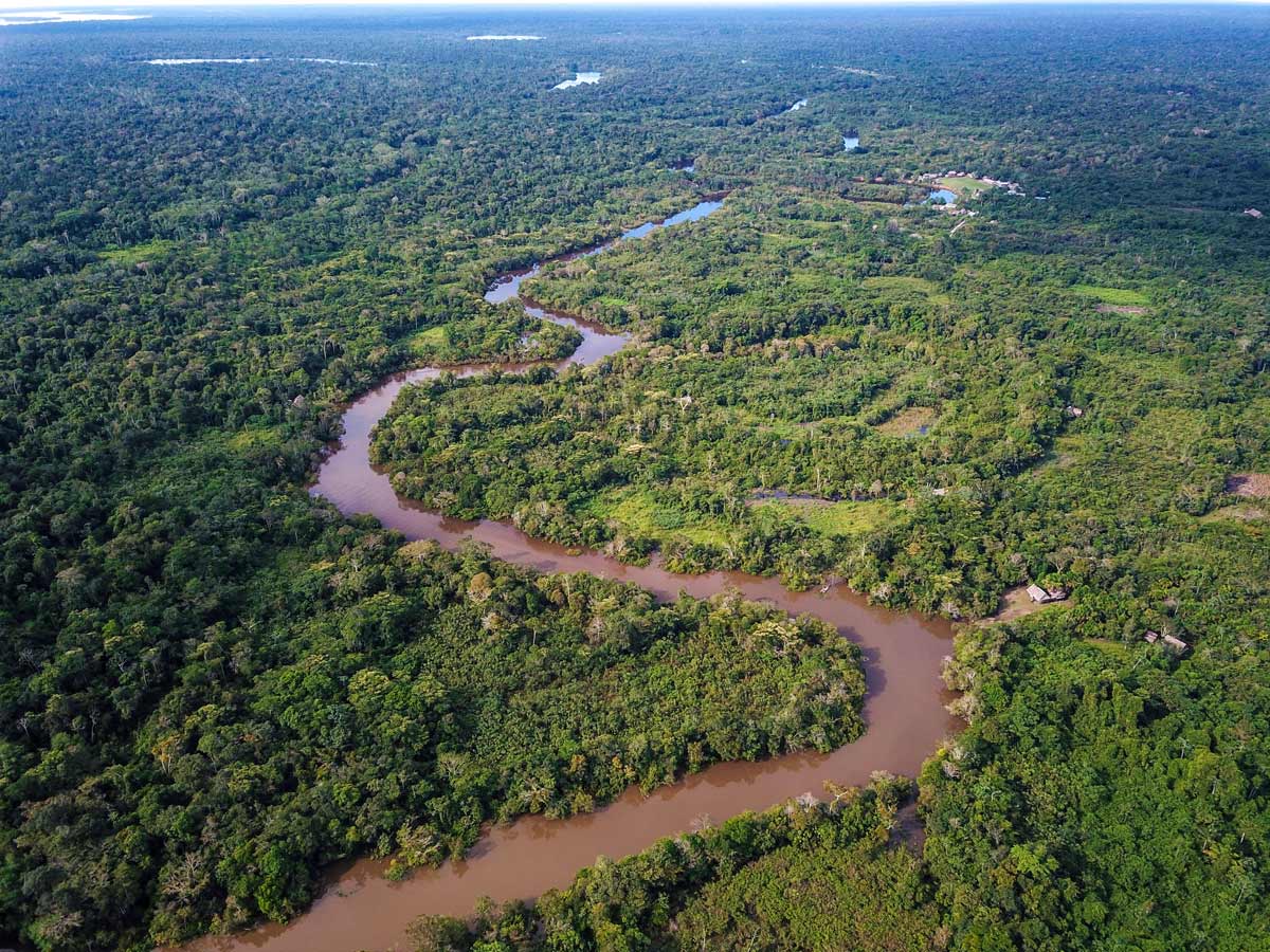 Beautiful river jungle rainforest Peruvian Amazonia survival training expedition