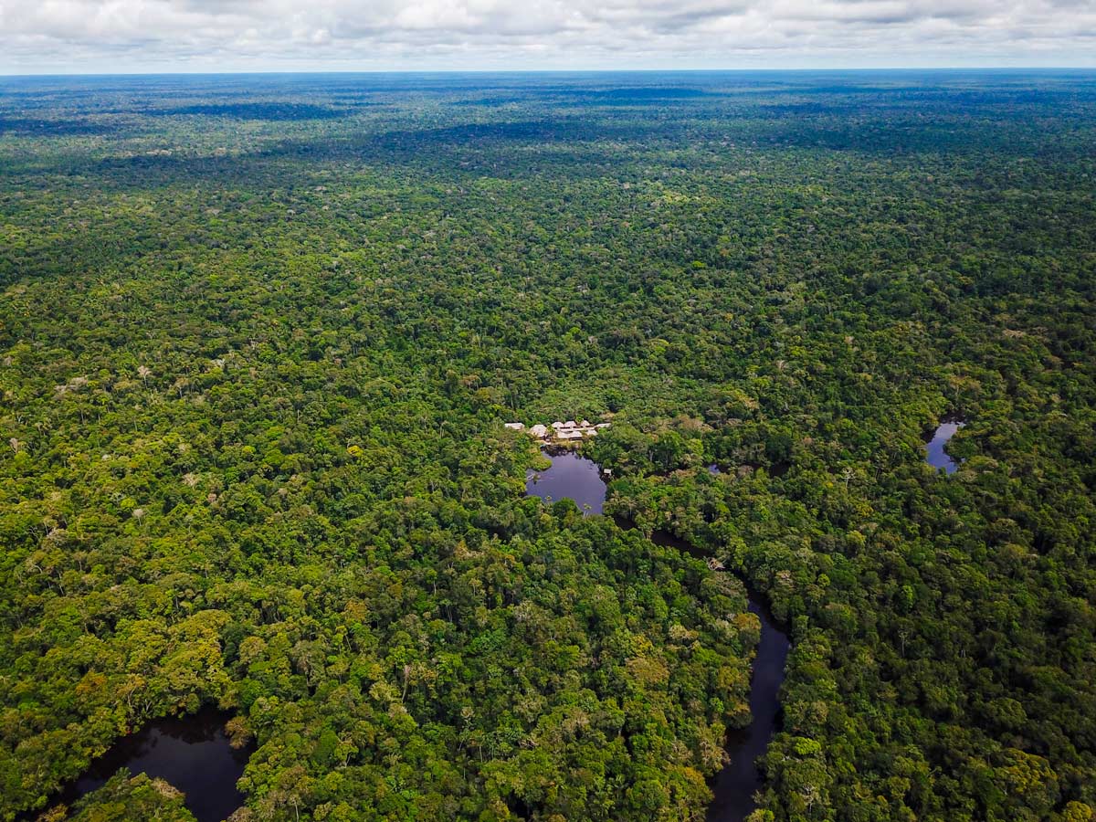 Sprawling Peruvian Amazonia rainforest jungle survival training expedition