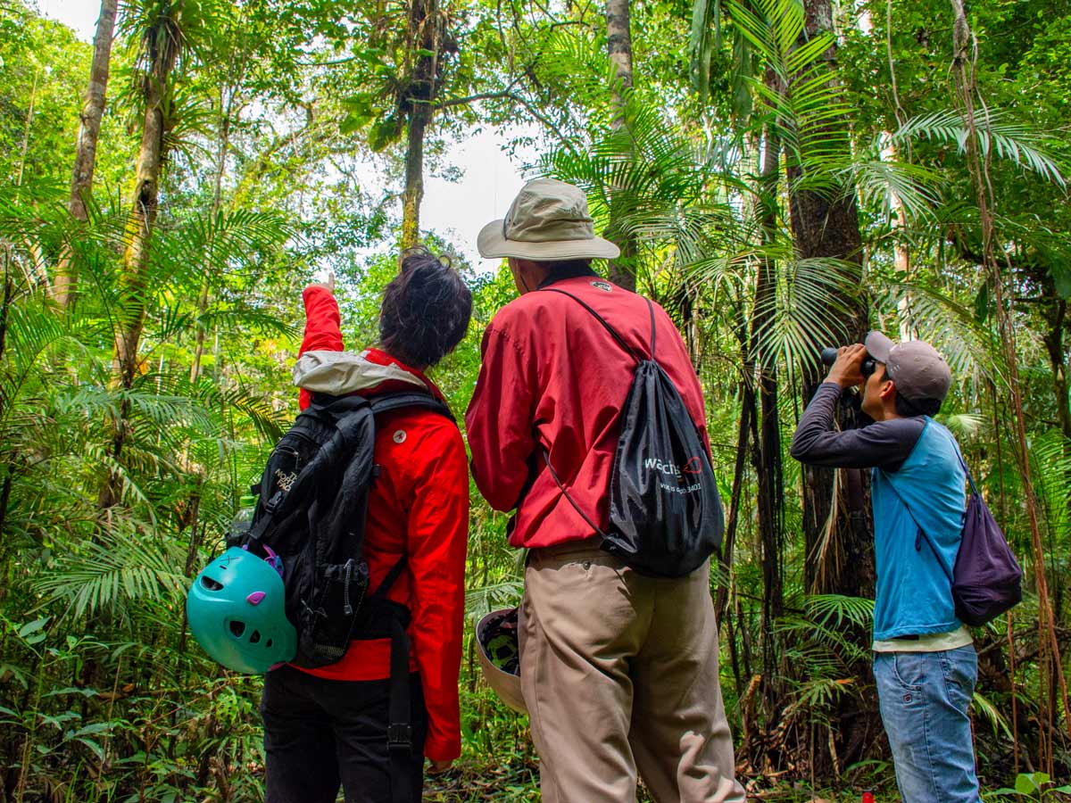 Wildlife viewing Peru Amazonia survival training expedition