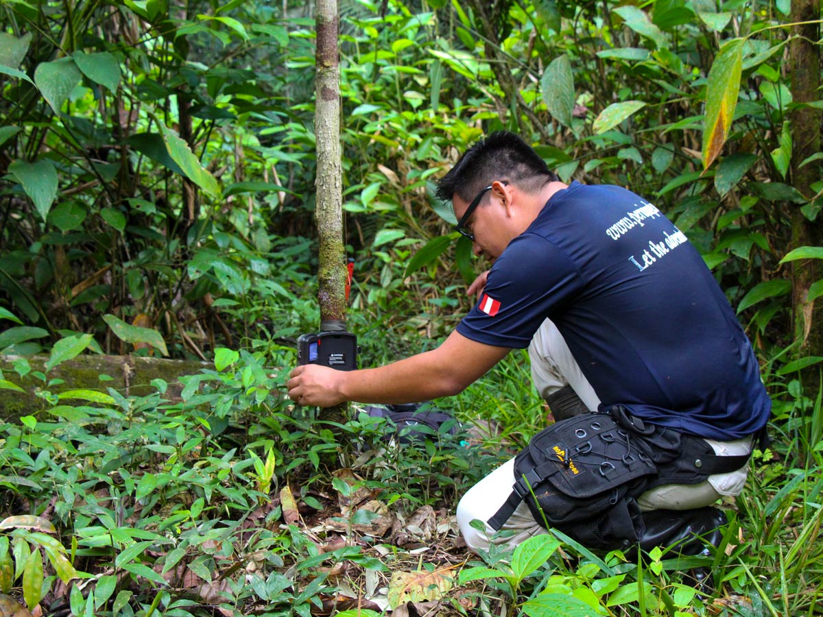 Wildlife monitoring Peru Amazonia survival training expedition