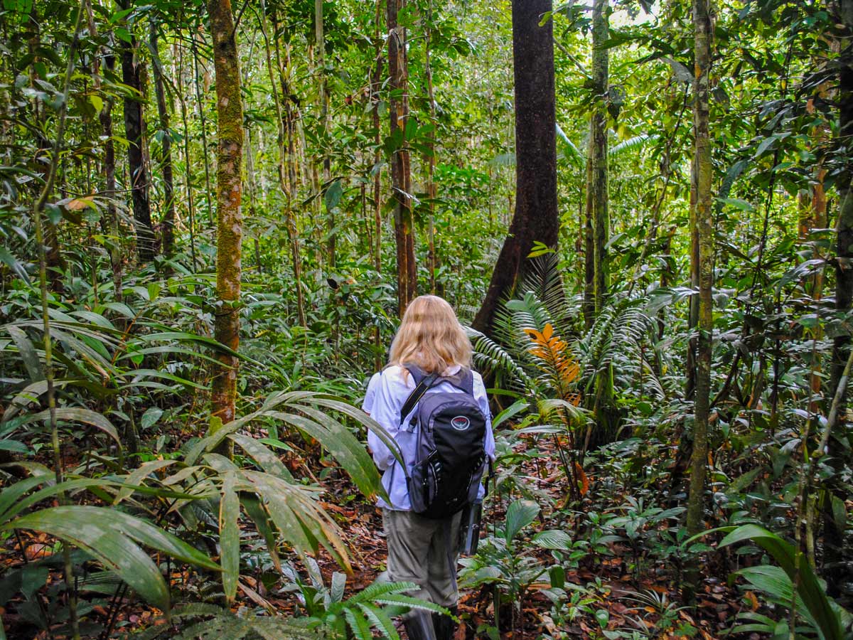 Trekking through Peru Amazonia survival training expedition