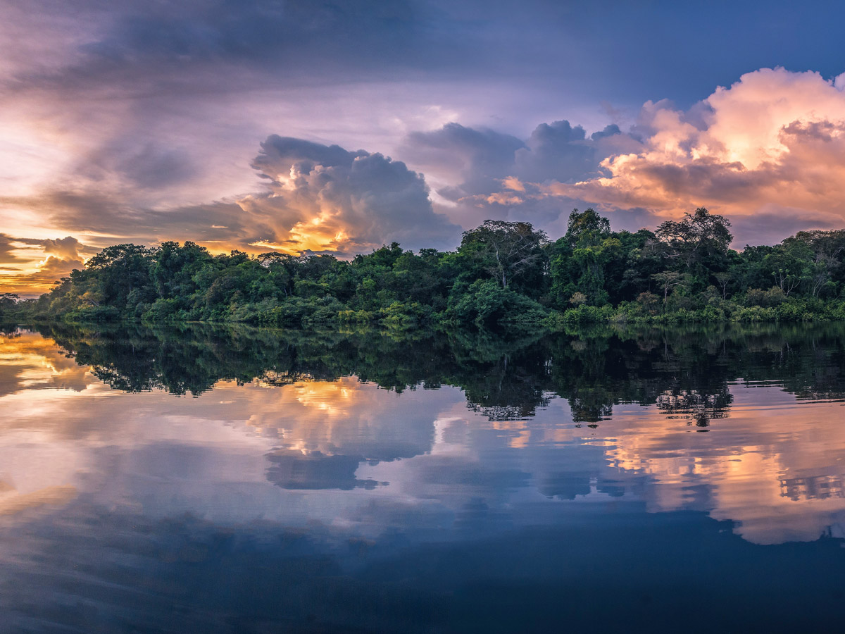 Beautiful natural jungle sunset Peru Amazonia survival training expedition