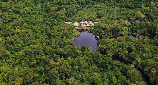 Amazonia Expeditions Jungle Survival Training