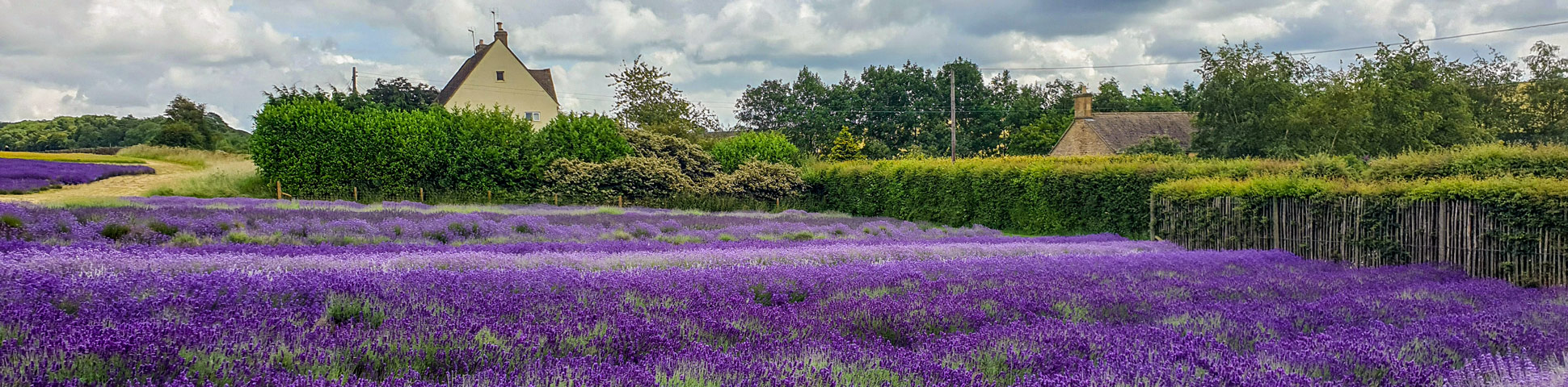 5-Day Cotswold Villages Walking Tour