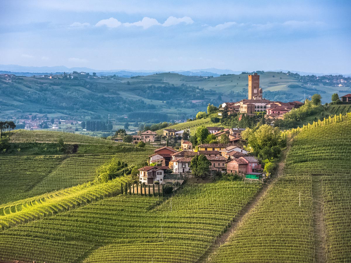 Barbaresco Langhe vineyard estate on the hill seen along family tour Italy