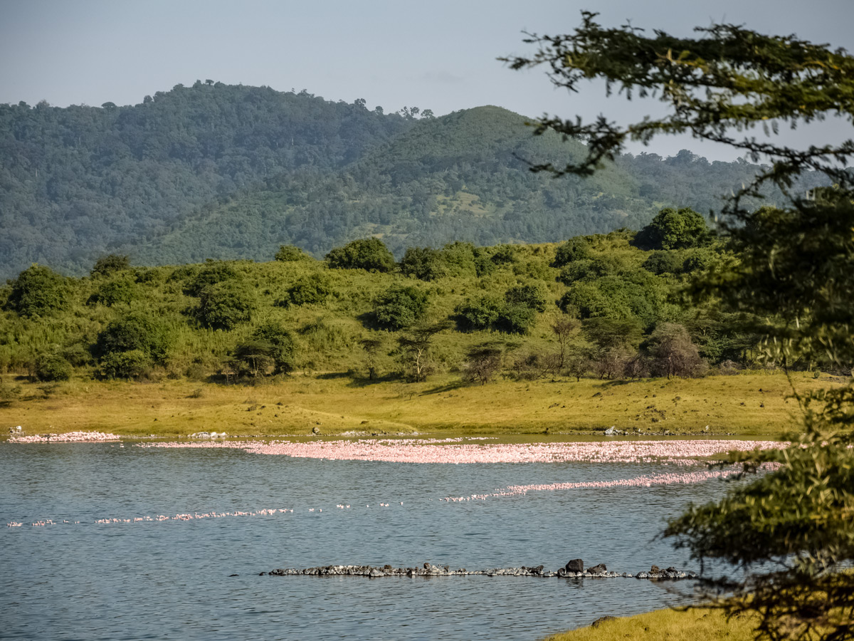 Momella Lake hiking Mount Meru Tanzania