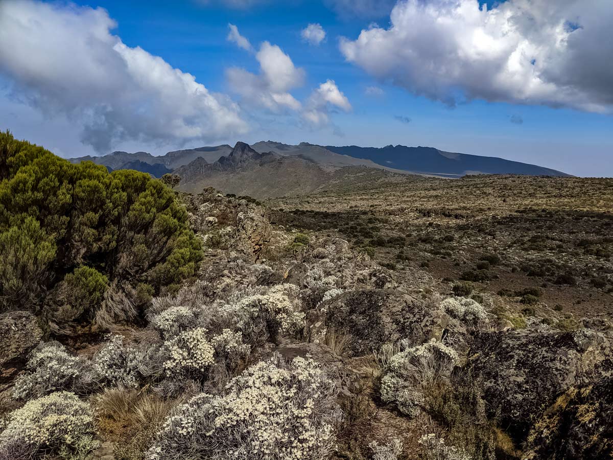 High altitude hiking Mount Kilimanjaro Northern circuitTanzania