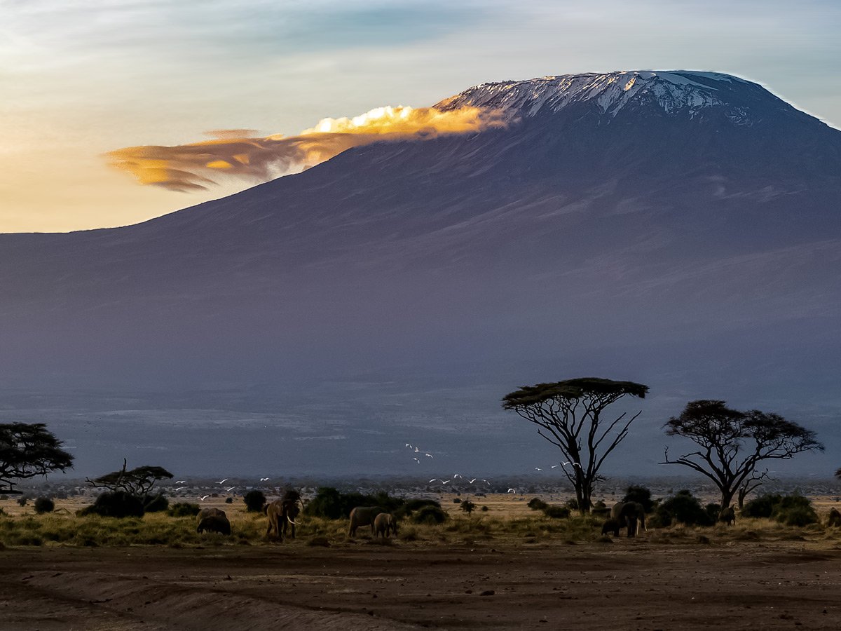 Mount Kilimanjaro sunset from teh savannah Tanzania