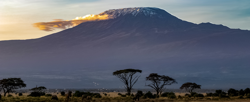 8-day Mount Kilimanjaro Northern Circuit Route