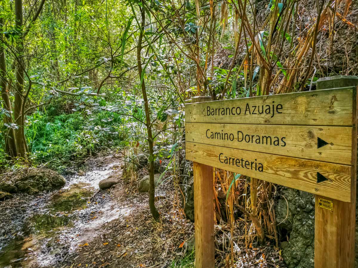Hiking Spain Barranco Azuaje Camino Doramas Carreteria adventure tour