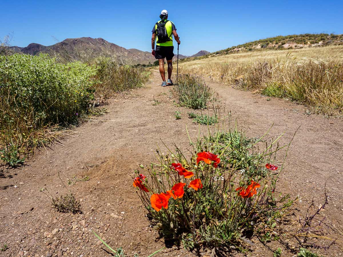 hiker walking desert terrain path trail Spain