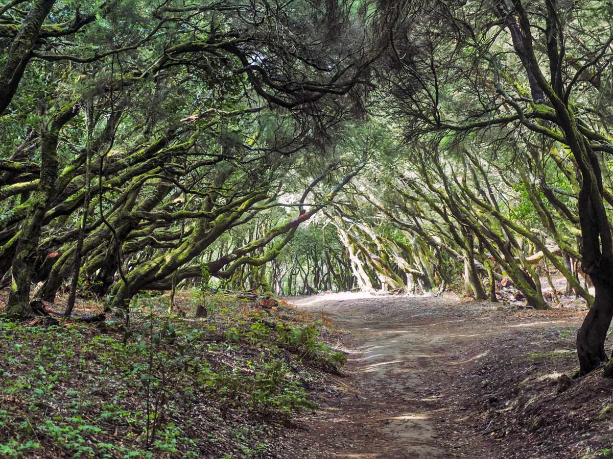 Walking forests mountains coast