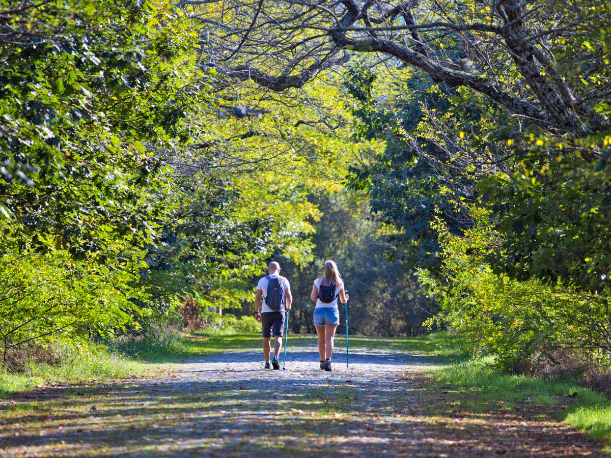 Forest hike walk adventure tour Portugal Atlantic coast