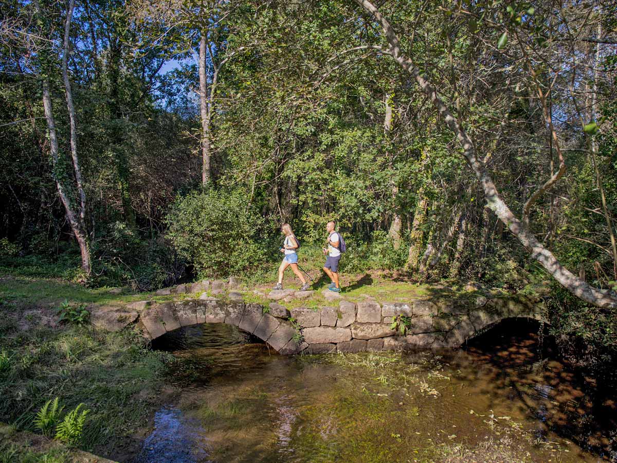 Forest bridge crossing pond in the woods adventure tour Portugal Atlantic coast