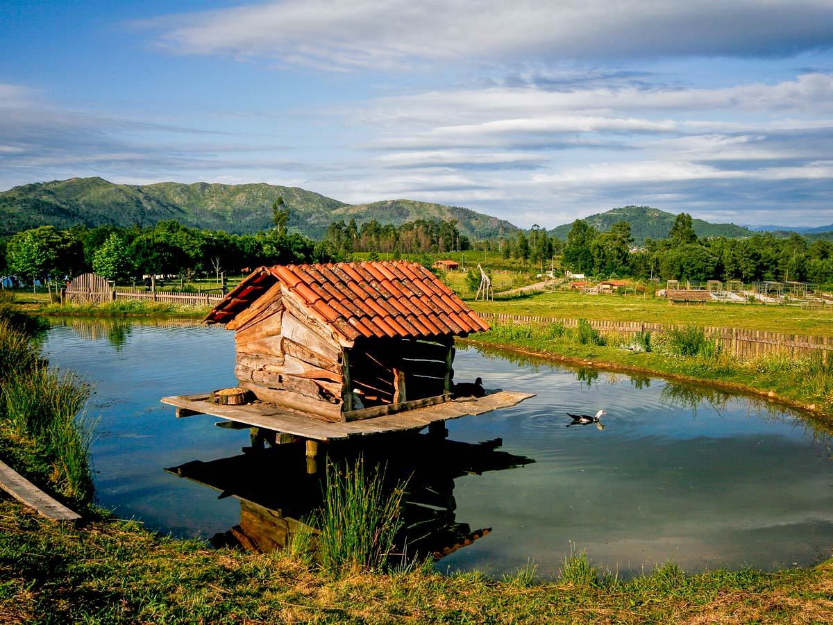 Duck house and pond adventure tour Portugal Atlantic coast