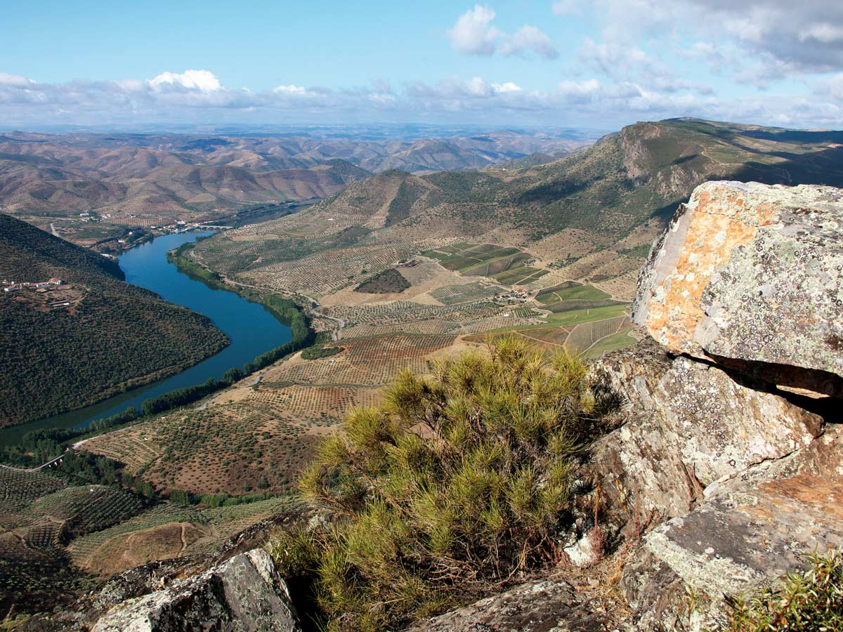 Vista river farmland views Douro National Park Portugal