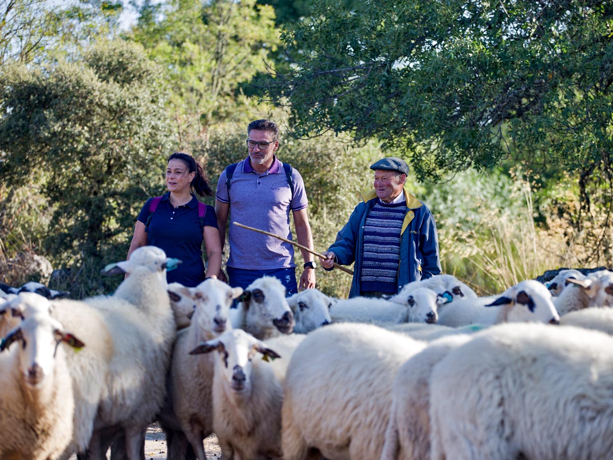 Hiking portugal authentic sheep herding trails Douro National Park Portugal