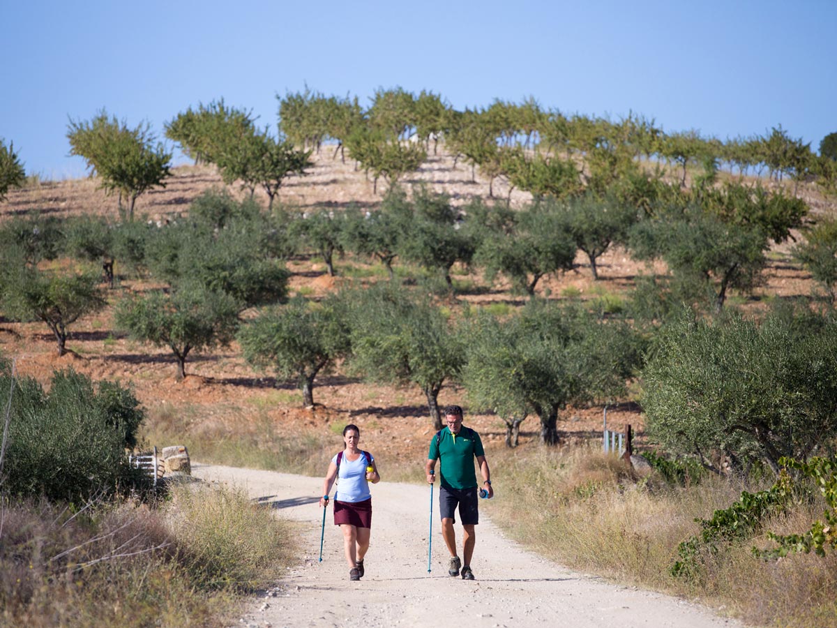 Orchard park hiking trekking Douro National Park adventure tour Portugal